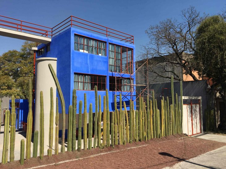 museo, arte, frida kahlo, diego rivera, arte mexicano, galeria, museum, gallery, art, guia oca, oca, cdmx, mexico city