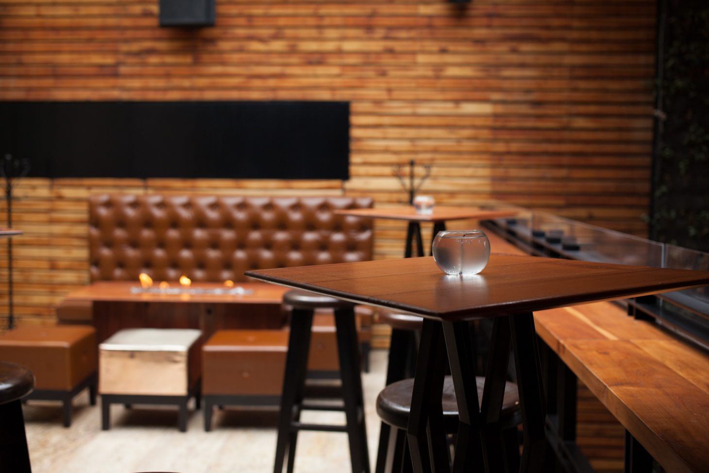 Bares CDMX Guía oca