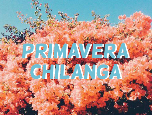 Primavera Chilanga